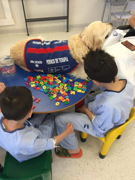 Asociación Mr.Dogs Intervenciones Asistidas por Perros