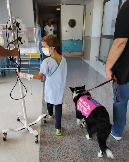 Asociación Mr.Dogs Intervenciones Asistidas por Perros