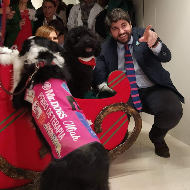 Asociación Mr.Dogs Intervenciones Asistidas por Perros