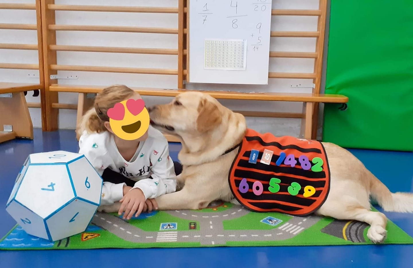 Asociación Mr.Dogs Intervenciones Asistidas por Perros